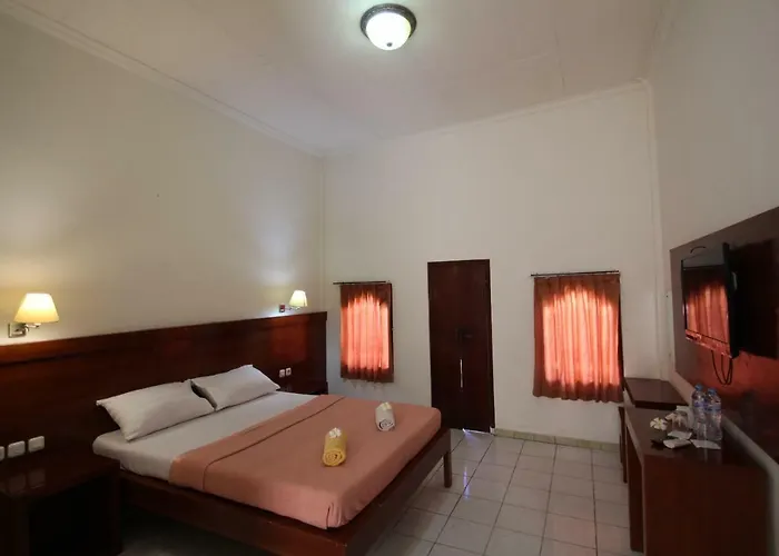 Kodja 3*